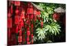 Red Wooden Buddhist Good Luck Charms and Tropical Vegetation, Hangzhou, Zhejiang, China-Andreas Brandl-Mounted Photographic Print