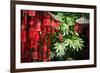 Red Wooden Buddhist Good Luck Charms and Tropical Vegetation, Hangzhou, Zhejiang, China-Andreas Brandl-Framed Photographic Print