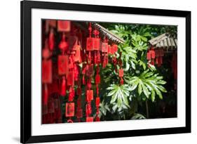 Red Wooden Buddhist Good Luck Charms and Tropical Vegetation, Hangzhou, Zhejiang, China-Andreas Brandl-Framed Photographic Print