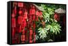 Red Wooden Buddhist Good Luck Charms and Tropical Vegetation, Hangzhou, Zhejiang, China-Andreas Brandl-Framed Stretched Canvas