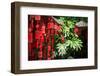 Red Wooden Buddhist Good Luck Charms and Tropical Vegetation, Hangzhou, Zhejiang, China-Andreas Brandl-Framed Photographic Print