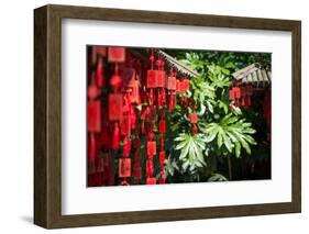 Red Wooden Buddhist Good Luck Charms and Tropical Vegetation, Hangzhou, Zhejiang, China-Andreas Brandl-Framed Photographic Print