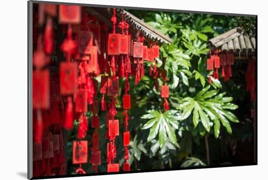 Red Wooden Buddhist Good Luck Charms and Tropical Vegetation, Hangzhou, Zhejiang, China-Andreas Brandl-Mounted Photographic Print