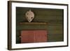 Red Wooden Window Shutters-Fatima Delbeck-Framed Photo