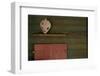 Red Wooden Window Shutters-Fatima Delbeck-Framed Photo