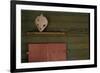 Red Wooden Window Shutters-Fatima Delbeck-Framed Photo