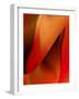 Red Wrap One-Ruth Palmer-Framed Art Print