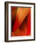 Red Wrap One-Ruth Palmer-Framed Art Print