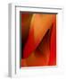 Red Wrap One-Ruth Palmer-Framed Art Print