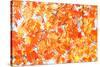 Red Yellow Fall Maple Leafs Illuminated by Sun Natural Background-tupikov-Stretched Canvas