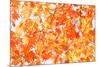 Red Yellow Fall Maple Leafs Illuminated by Sun Natural Background-tupikov-Mounted Photographic Print