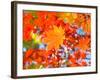 Red Yellow Fall Maple Leafs Illuminated by Sun Natural Background-tupikov-Framed Photographic Print