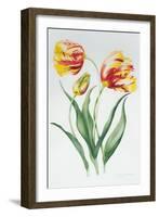 Red Yellow Parrot Tulip Group-Sally Crosthwaite-Framed Giclee Print