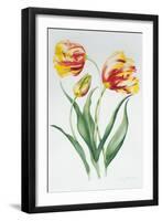 Red Yellow Parrot Tulip Group-Sally Crosthwaite-Framed Giclee Print