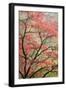 Red Zen-Don Schwartz-Framed Art Print