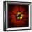 Red Zinnia-Ike Leahy-Framed Photographic Print