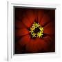 Red Zinnia-Ike Leahy-Framed Photographic Print