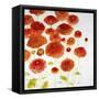 Red Zone II-Jill Martin-Framed Stretched Canvas