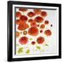 Red Zone II-Jill Martin-Framed Art Print