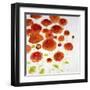 Red Zone II-Jill Martin-Framed Art Print