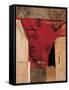 Red-Burri Alberto-Framed Stretched Canvas