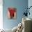 Red-Burri Alberto-Giclee Print displayed on a wall