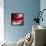 Red-Ursula Abresch-Framed Stretched Canvas displayed on a wall