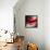 Red-Ursula Abresch-Framed Stretched Canvas displayed on a wall