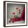 Red-Dimitar Lazarov-Framed Photographic Print