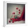 Red-Dimitar Lazarov-Framed Photographic Print