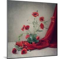 Red-Dimitar Lazarov-Mounted Photographic Print