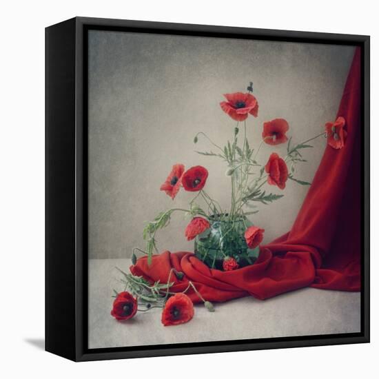 Red-Dimitar Lazarov-Framed Stretched Canvas