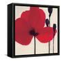 Red-Ivo-Framed Stretched Canvas