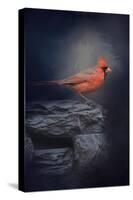 Redbird on the Rocks-Jai Johnson-Stretched Canvas