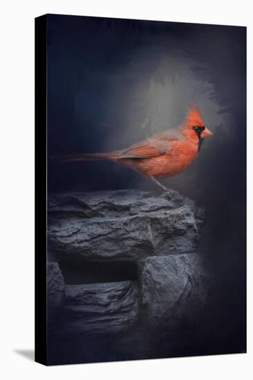 Redbird on the Rocks-Jai Johnson-Stretched Canvas