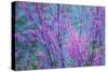 Redbud River Abstract-Vincent James-Stretched Canvas