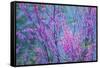 Redbud River Abstract-Vincent James-Framed Stretched Canvas