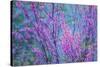 Redbud River Abstract-Vincent James-Stretched Canvas