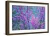 Redbud River Abstract-Vincent James-Framed Photographic Print