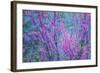 Redbud River Abstract-Vincent James-Framed Photographic Print