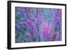 Redbud River Abstract-Vincent James-Framed Photographic Print