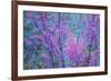 Redbud River Abstract-Vincent James-Framed Photographic Print