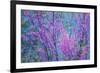 Redbud River Abstract-Vincent James-Framed Photographic Print