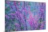 Redbud River Abstract-Vincent James-Mounted Photographic Print