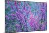 Redbud River Abstract-Vincent James-Mounted Photographic Print