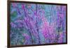 Redbud River Abstract-Vincent James-Framed Photographic Print