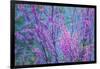 Redbud River Abstract-Vincent James-Framed Photographic Print