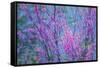 Redbud River Abstract-Vincent James-Framed Stretched Canvas