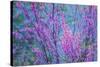 Redbud River Abstract-Vincent James-Stretched Canvas