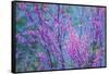 Redbud River Abstract-Vincent James-Framed Stretched Canvas